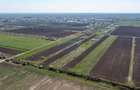 Vanzare teren intravilan 500 mp Sabareni /  Strada Orhideelor - 6