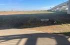 TEREN INTRAVILAN DN4-21000 MP-SOS OLTENITEI - 4
