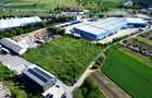 Teren industrial de 8000mp  si front de 90 m de vanzare langa Oradea, Bors - 2