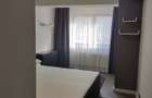 De vanzare ap 2 camere mobilat Baba Novac Belvedere - 9