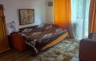 Casa spatioasa Traian - 8