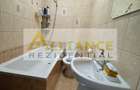 DUPLEX ÎNTREG DE VÂNZARE – FRUMUȘANI, STRADA GAROAFEI - 1086MP - 19