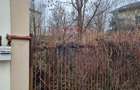 Vanzare Teren 625mp Mogosoaia / Strada Livezilor - 5