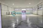 Royal Imobiliare - Inchirieri Spatii industriale Zona Mihai Bravu - 4
