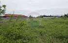 Teren intravilan, 752 mp, Bolintin-Deal, Giurgiu - 5