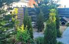 Buftea, casa 4 camere - 21