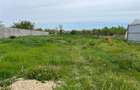 Remetea Mare, Teren Intravilan 1.500 Mp., - 3