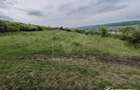 8.700 mp pentru dezvoltare rezidentiala la 3 km de CREIC - Chinteni - 6