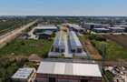 HALA INDUSTRIALA NOUA 550 MP - Sos Centura | MAGURELE – ILFOV | - 6