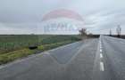 Teren intravilan 80500mp. aproape de nodul rutier de pe DX Oradea-Arad - 6