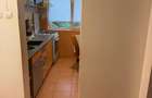 Apartament 2 camere în Dristor, Park Lake