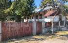 Casă renovată cu farmec istoric, livadă și 3.600 mp de teren | Teiș - 12
