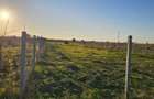 Veterani ! 1000 mp , 2 loturi - 4