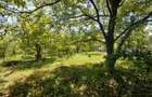 Casa de vanzare 4 camere si teren de 1100m2 Sura Mare, Sibiu - 8