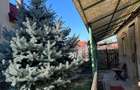 Casă de vânzare- 3 camere, teren total 796mp, front stradal 16,7m- Zona Grădiște - 4