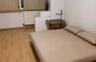 Apartament cu o cameră Calea Lipovei - 1