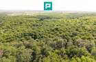 TEREN AGRICOL EXTRAVILAN  22.900 MP LIPOVA - 19