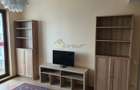 Inchiriere Apartament 4 camere Fizicienilor - 6