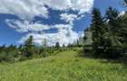 TEREN EXTRAVILAN DE VANZARE | CAMPULUNG MOLDOVENESC | 235.000€ - 5