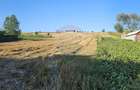 Teren intravilan, 7500 mp in Moara Carp / Strada Eternitatii-Suceava - 13