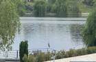 Vilă amplasată pe malul lacului - 18
