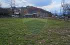 Teren 1,520mp Hangu / Strada Principala - 14