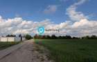 Teren Snagov - Cioflinceni | Drum amenajat | Aproape de Padure si Lac - 2