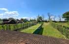 Duplex Zona Linistita Carpinis - 17