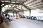Proprietate industrială cu hală metalică, birouri și teren – Golești - 6