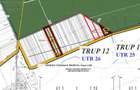 Vanzare teren extravilan, padure - 1
