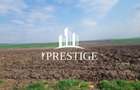 TEREN DE VÂNZARE ȘURA MICĂ 10.000 MP | 2 FRONTURI STRADALE, INVESTIȚIE - 14