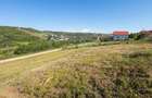 RECO Teren 1000 mp cu dublu front stradal in Saldabagiu de Munte - 3