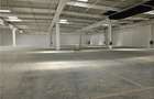 Spatiu Industrial - 7000 mp - Logistica - Productie - Depozitare - Distributie - 15
