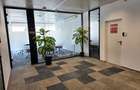 One Herastrau Office (Office 1) - 5