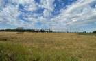 Teren Intravilan 1 ha – Acces Drum Asfalt | Ideal Rezidențial - 2