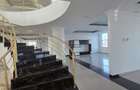 Splaiu Unirii teren 5000 mp Imobil S+P+5 Showroom, Clinica , Birouri , Hotel - 16