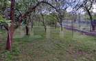 Teren, 600 mp, zona Bercu Rosu - 1