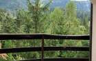 Vanzare Apartament 3 Camere Poiana Brasov