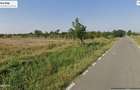 De vanzare 3 loturi teren Extravilan in Garoafa total 8664mp - 3
