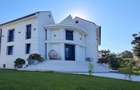 1 Mil. Euro - 350 Mp - Piscina - Mutare Imediata - 3