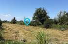 Teren intravilan 4.000 mp Comana (Budeni) | 10 €/mp negociabil | Comis