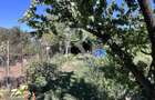 Casă cu 4 camere de vânzare | Parcelă de 700 mp | Sântandrei | Bihor - 27