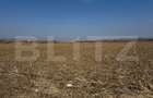 Teren intravilan de vanzare,2900mp - Soseaua de centura - 1