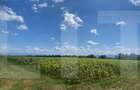 De vânzare teren arabil – 4,58 ha, Moacșa, Covasna - 2