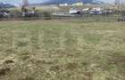 Teren intravilan de vanzare, 12.500 mp, zona Vatra Dornei, Podul Coșnei - 2