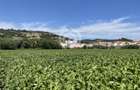 Teren intravilan Medias | 13700 mp | Deschidere 242 ml la drum public - 2