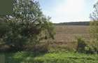 Teren intravilan 7500mp fs 38m DN1 - 1