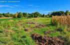 Teren intravilan 1.500 mp, 2 fronturi, Hilișeu-Horia, Botoșani