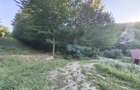 Teren intravilan de vanzare in padure Cisnadioara - 12