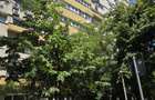 Bucurestii Noi - 1 minut Metrou Parc Bazilescu - Apartament 2 camere confort 1 - 18